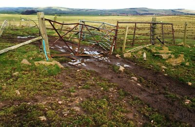 #ad #ad Photo 6x4 Three farm gates of different construction Lesmahagow c2009 GBP 2.00